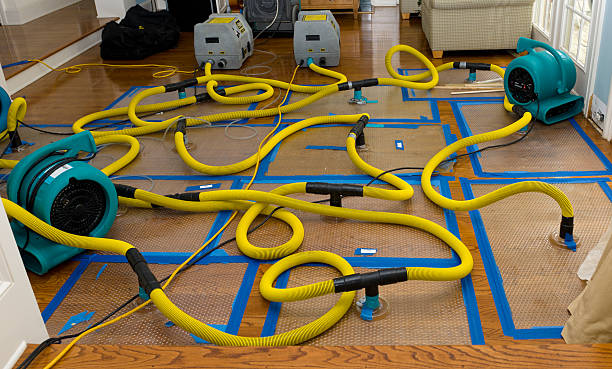 Professional Sewage Cleanup technician working in Muir, MI