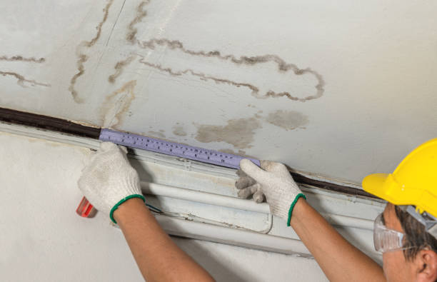 Affordable Water Damage Repair solutions in Muir, MI